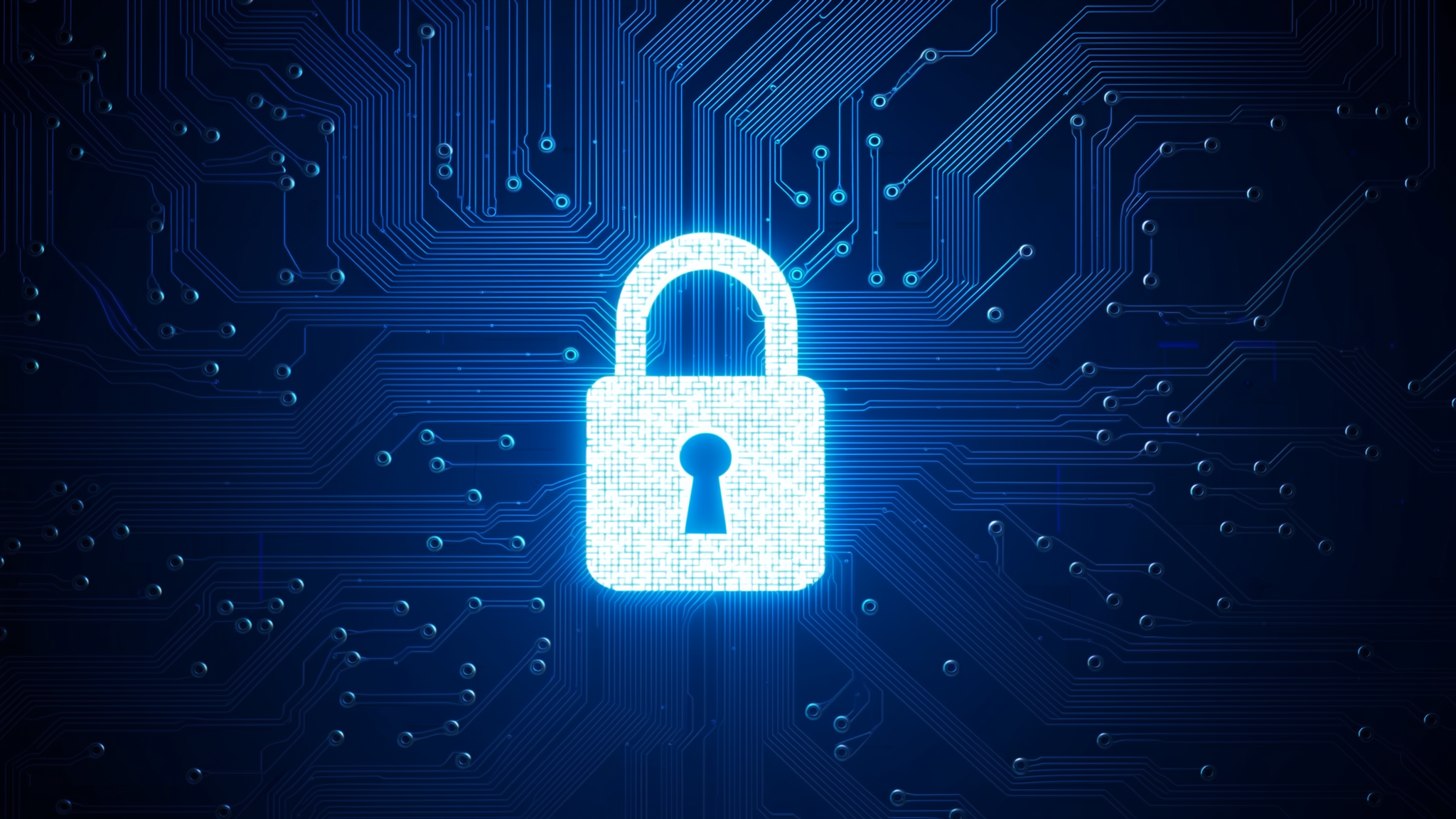 Carnival data breach exposed personal info of 800,000-plus Texans